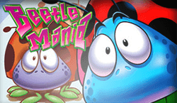 Beetle Mania