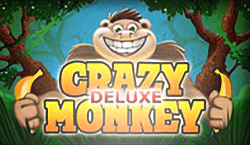 Crazy Monkey Deluxe