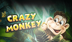 Crazy Monkey