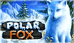 Polar Fox