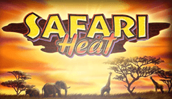 Safari Heat