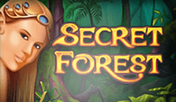 Secret Forest