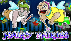 Hairy Fairies