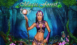 Magic Forest