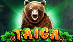 Taiga