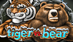 Tiger Vs Bear