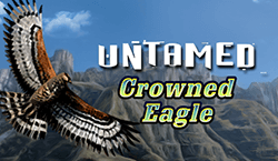 Untamed Crowned Eagle