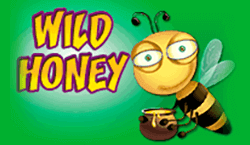 Wild Honey