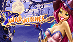 Wild Witches