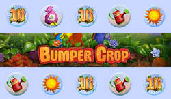 Bumper Crop